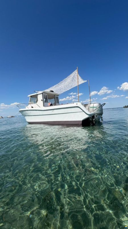 Ocqueteau Fish 610
