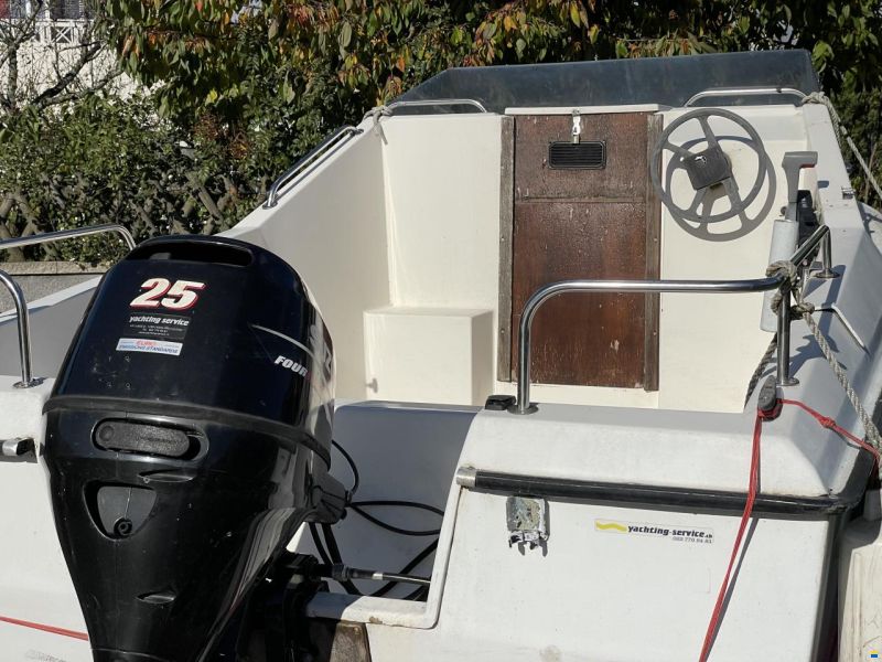Clear Liner 500 cabin 25cv