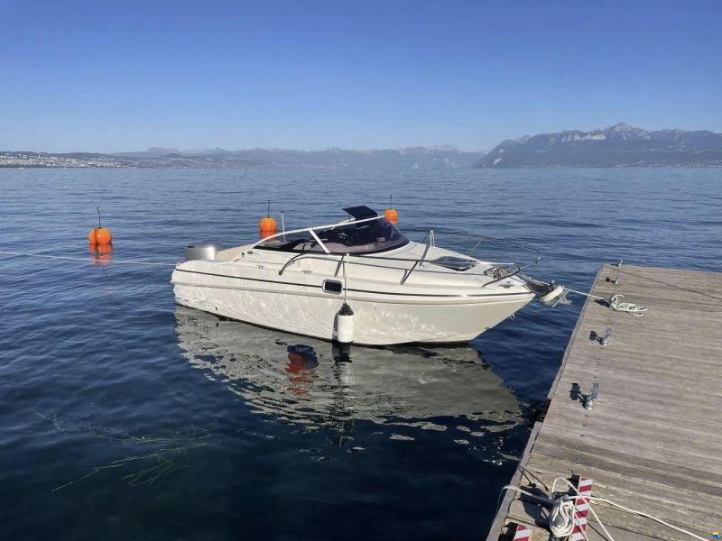 Saver 590