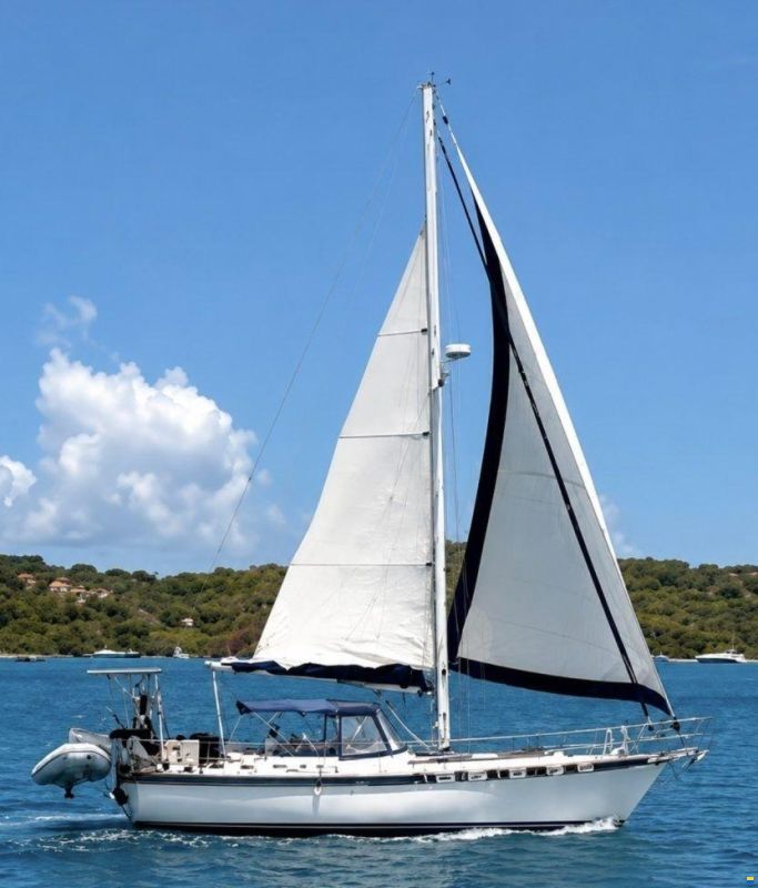 Catalina Morgan Out Island Classic 41