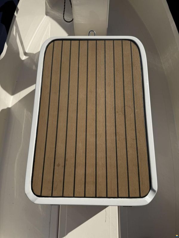 Pura Vida 550 Electric