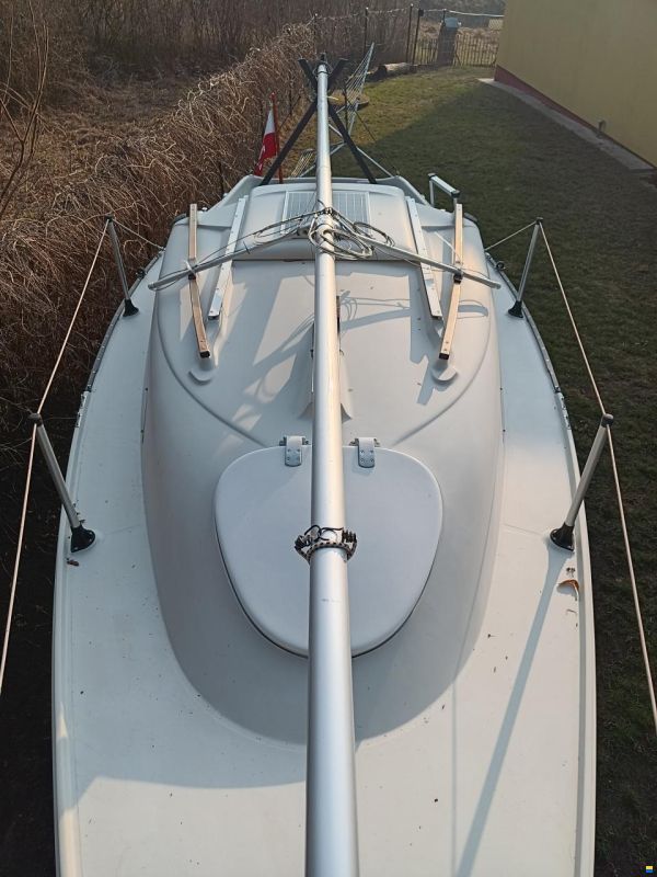 Manta 19