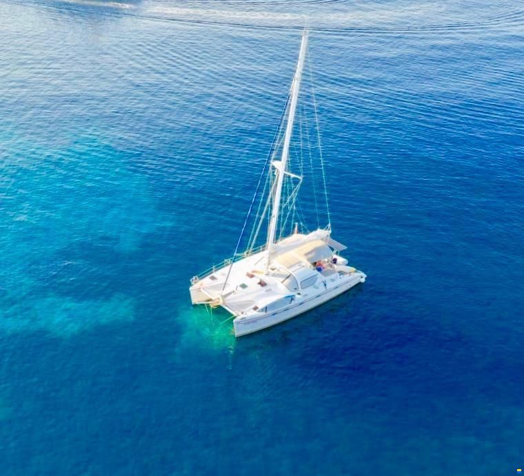Alliaura Privilege 495 Easy Cruise