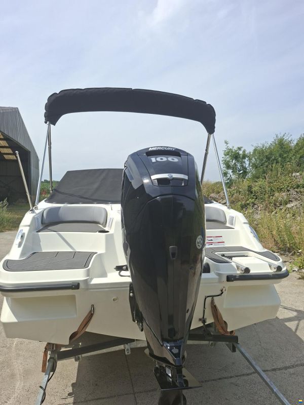 Bayliner M 17