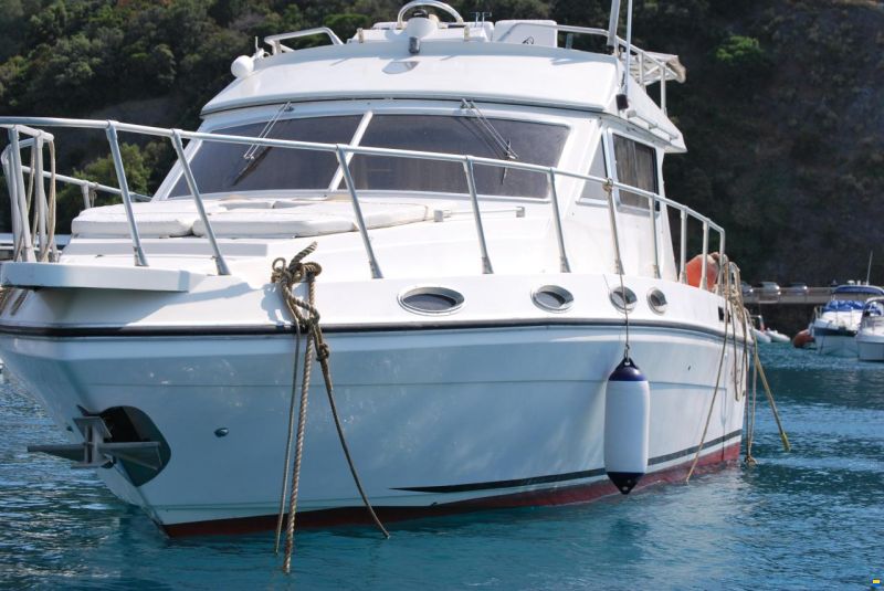 Piantoni Onda Azzurra