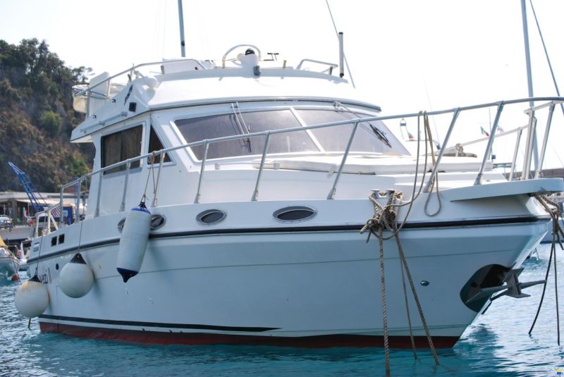 Piantoni Onda Azzurra