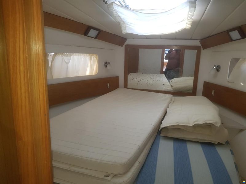 Piantoni Onda Azzurra