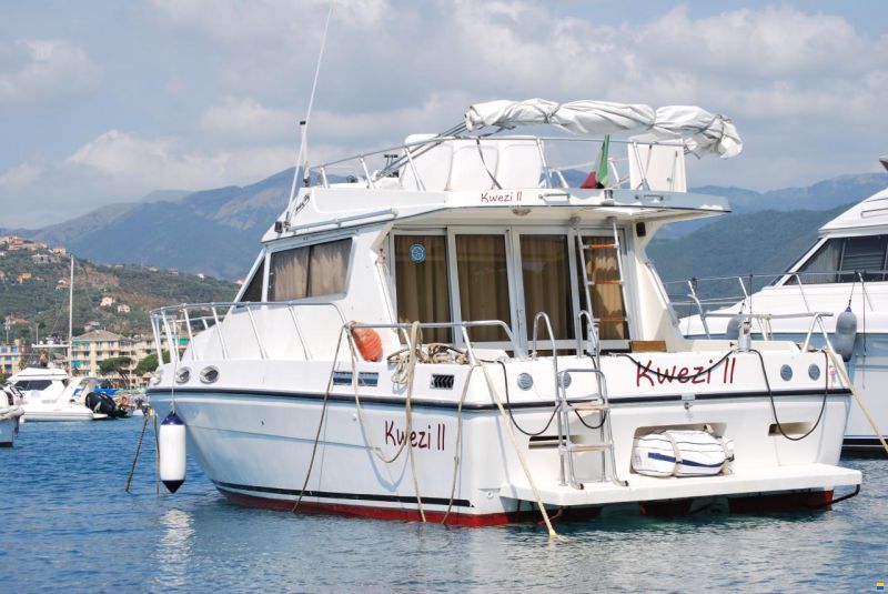Piantoni Onda Azzurra