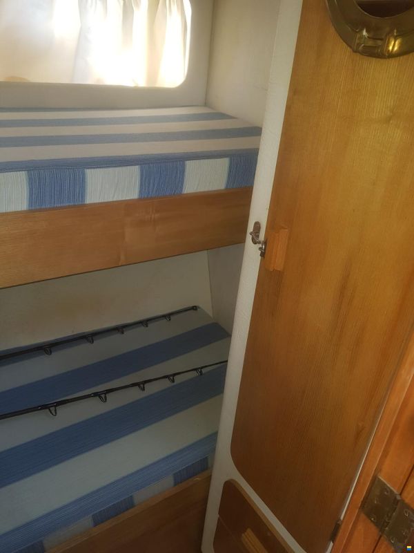 Piantoni Onda Azzurra