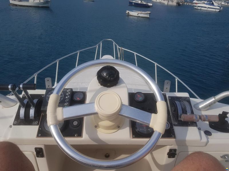 Piantoni Onda Azzurra