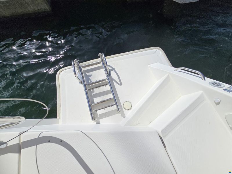 Leopard 40