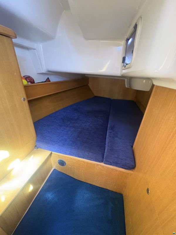 Delphia 40