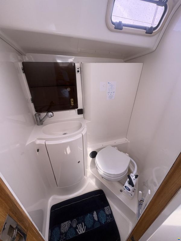 Delphia 40