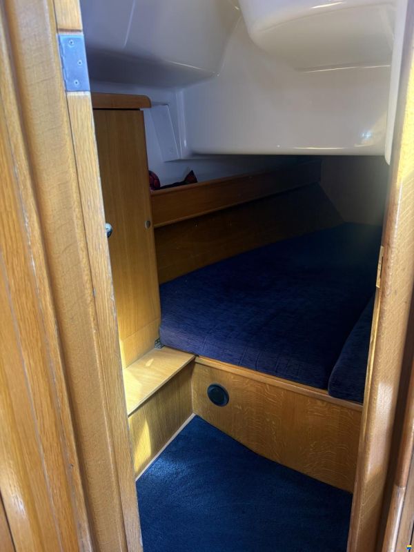 Delphia 40