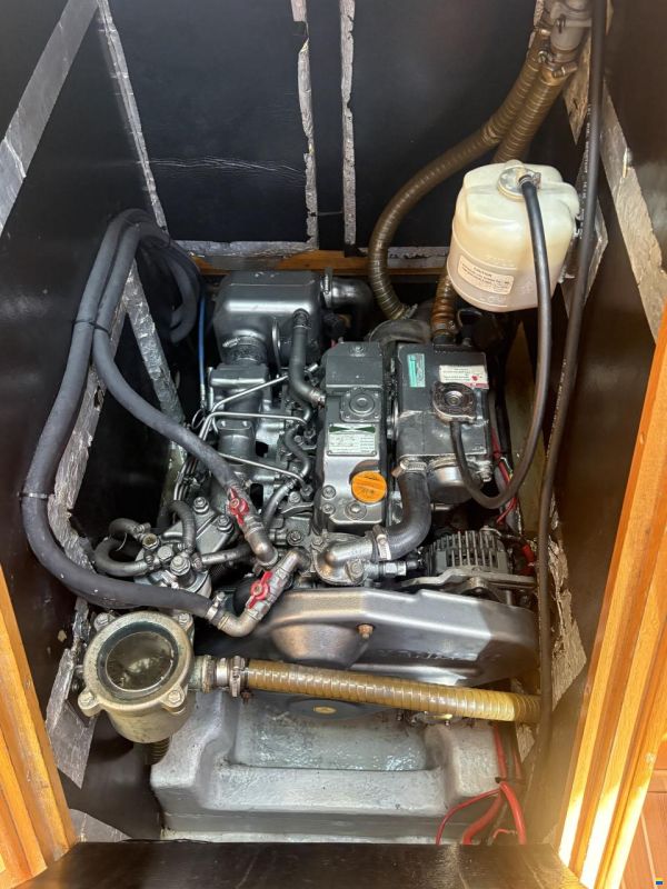Delphia 40