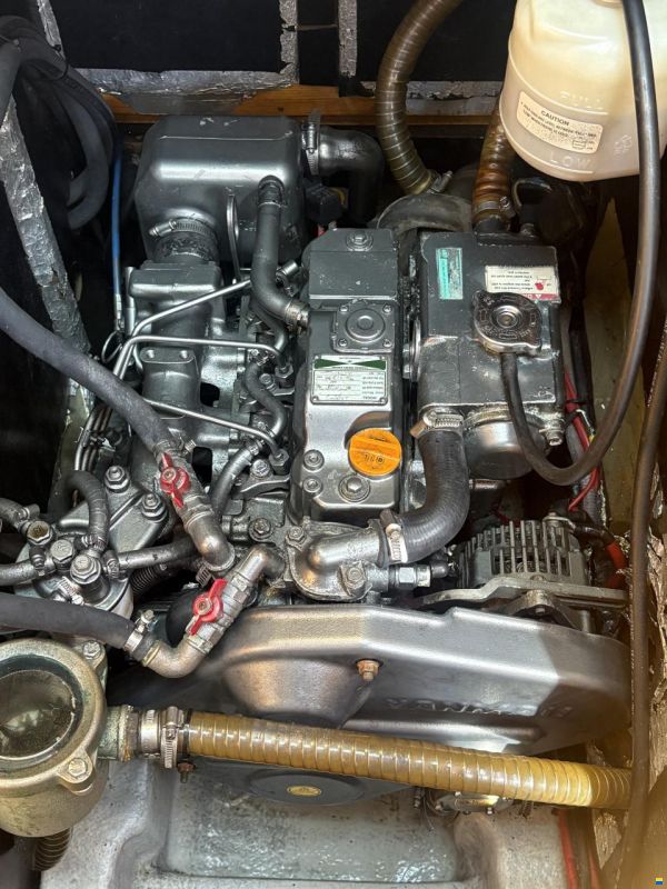 Delphia 40