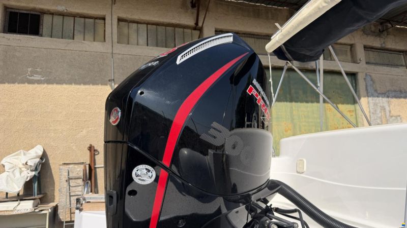 Selva D800 Mercury V8 Racing 300