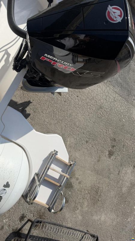 Selva D800 Mercury V8 Racing 300