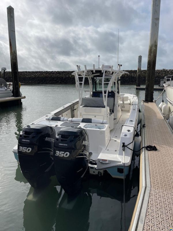 Wellcraft 302