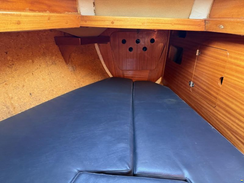 Hallberg P29