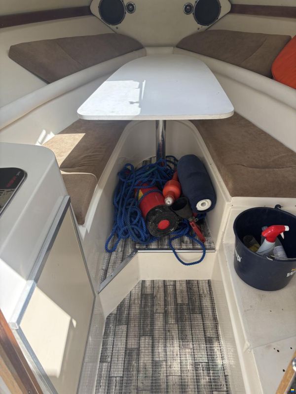 Cruisers Rogue 2530