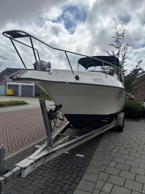 Cruisers Rogue 2530