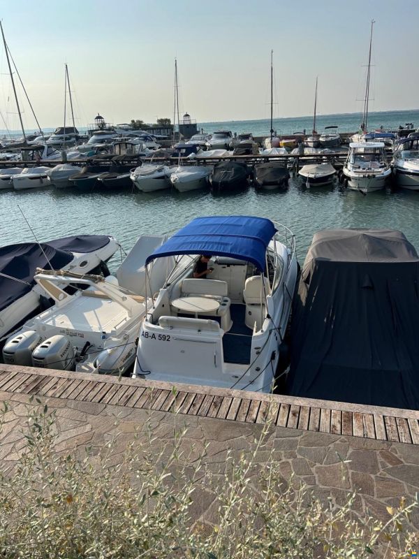Bayliner 245