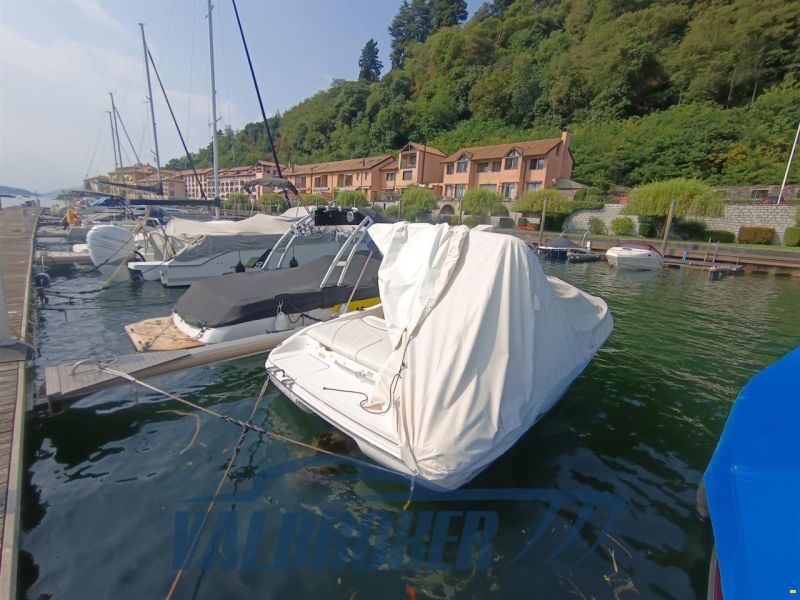 Sea Ray 190 BR