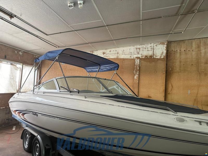 Sea Ray 190 BR