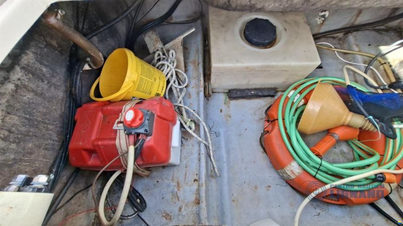 Saver Manta 600 Fish