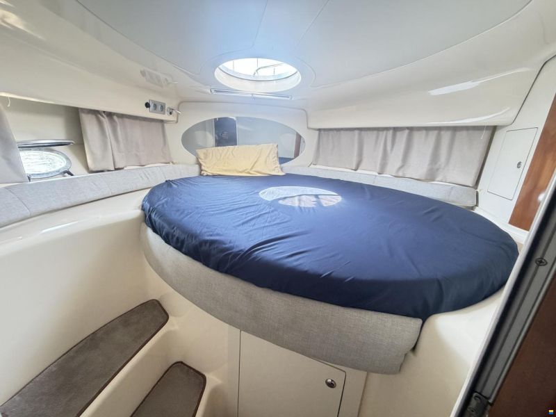 Sessa Oyster 35
