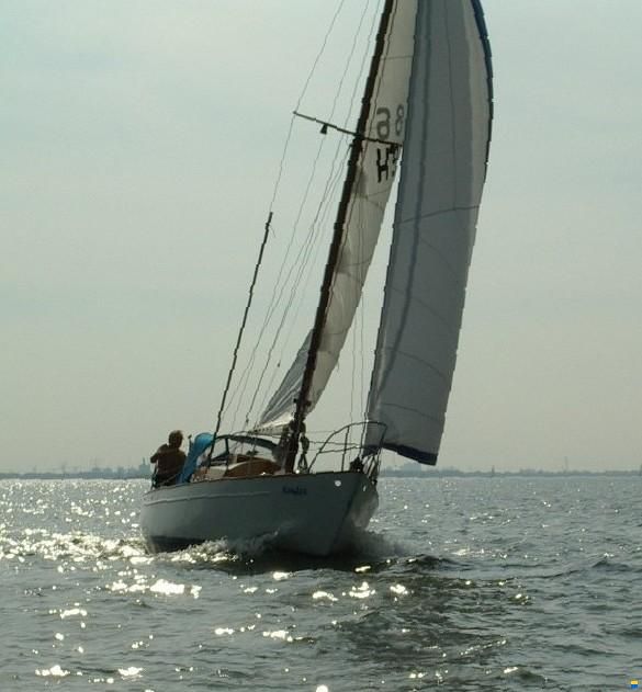 Anne Wever Trintel 1