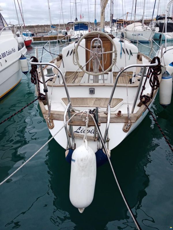 Wauquiez Victorian 27