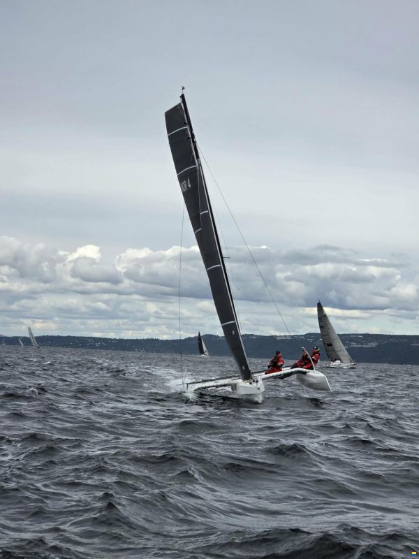 SeaCart 26