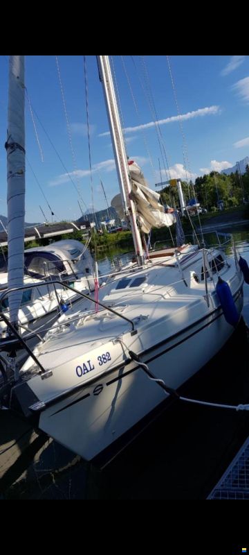 Schöchl Sunbeam 25