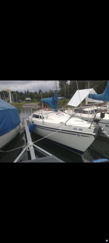 Schöchl Sunbeam 25