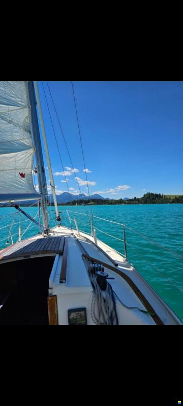 Schöchl Sunbeam 25