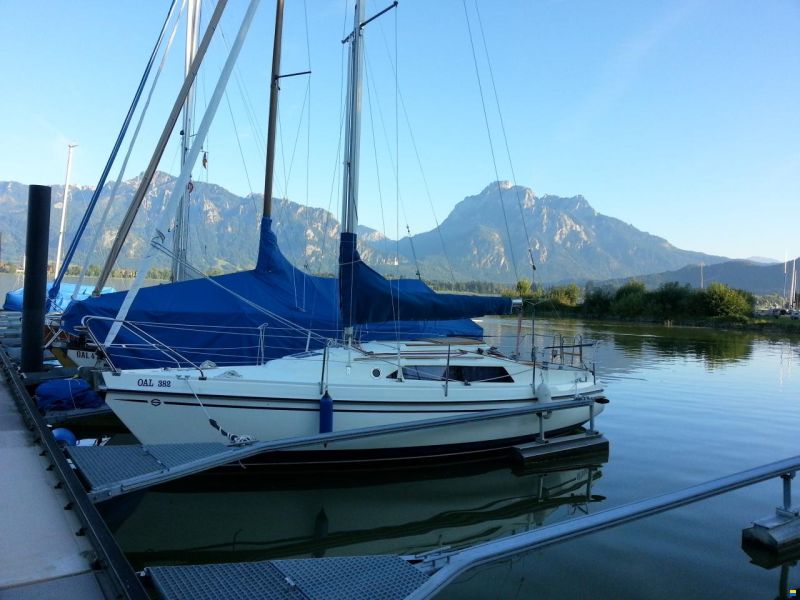 Schöchl Sunbeam 25