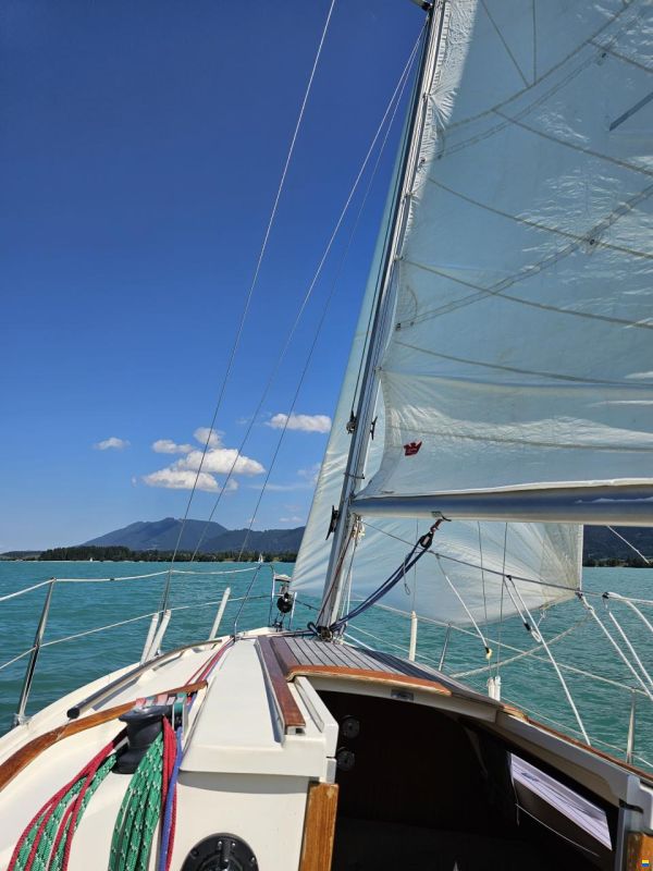Schöchl Sunbeam 25