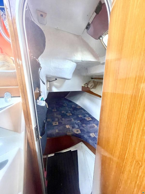 Gibert Marine Gibsea 302