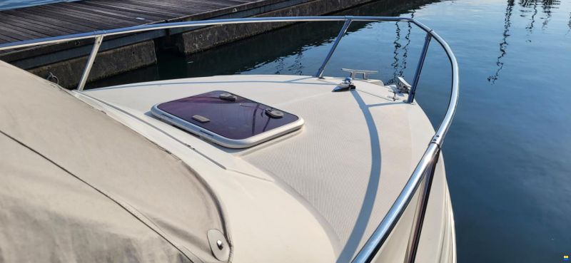 Acquaviva Winner 19