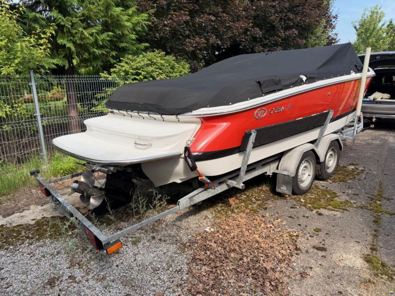 Cobalt 230