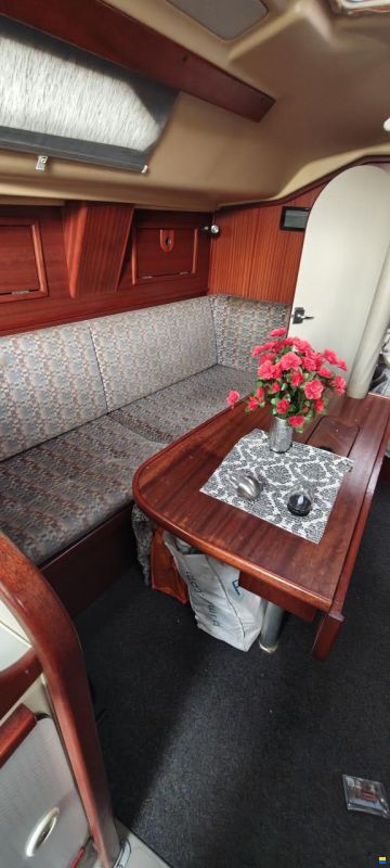 Dehler Super mooie dehler 31 top