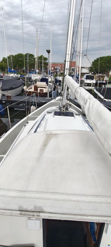 Dehler Super mooie dehler 31 top