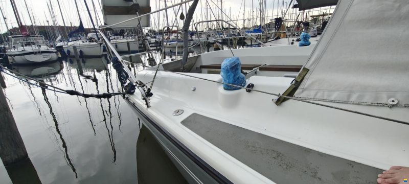 Dehler Super mooie dehler 31 top