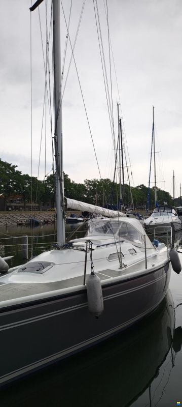 Dehler Super mooie dehler 31 top