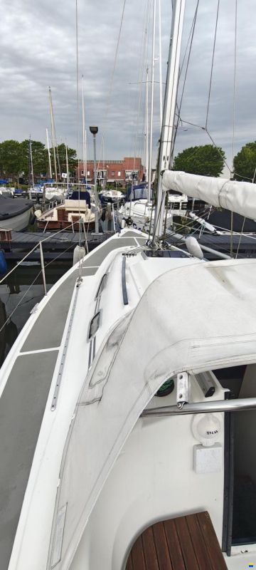Dehler Super mooie dehler 31 top