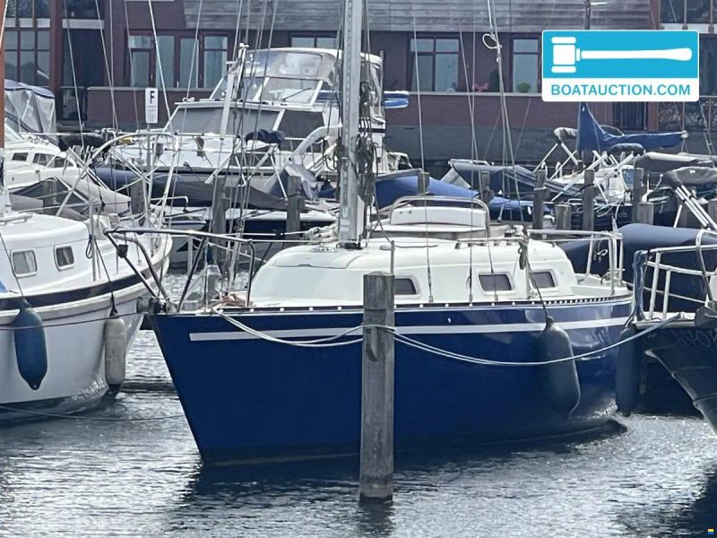 Martin 29