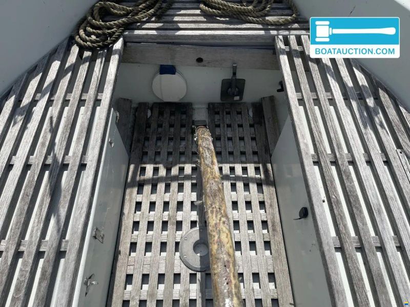 Martin 29