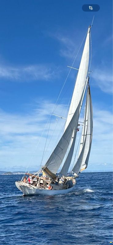 Ambrosi Sciarelli 50